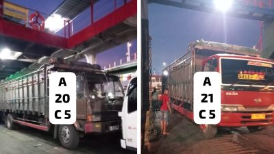 Diduga Lolos Tanpa Pemeriksaan Ketat, Puluhan Sapi Bali Diseberangkan dari Gilimanuk ke Jawa, Karantina Dipertanyakan